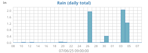 Rain