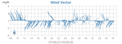 Wind Vector