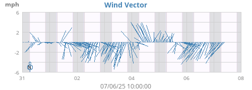 Wind Vector